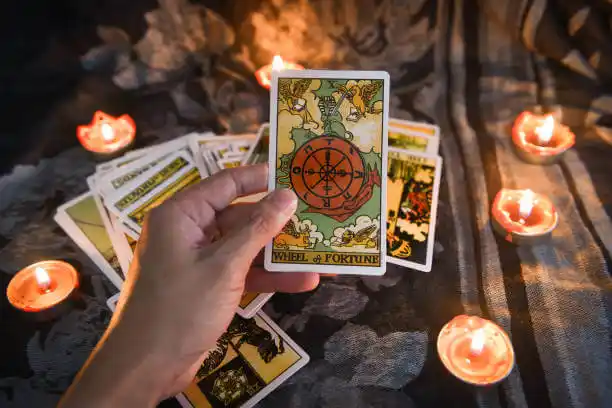 tarot cards Holt